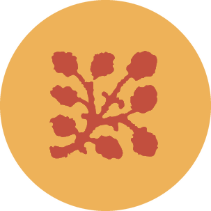 Logo Evento