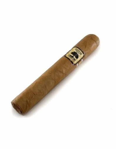 CHARTER OAK CT SHADE TORO CTO002