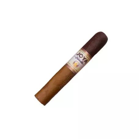 JOYA DE NICARAGUA CABINETTA ROBUSTO JYN005